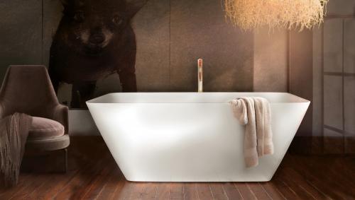 PAA-baths-Silstone--Quadro-1590x700xh610-interior-with-dog-2880x1630px-2560x1449